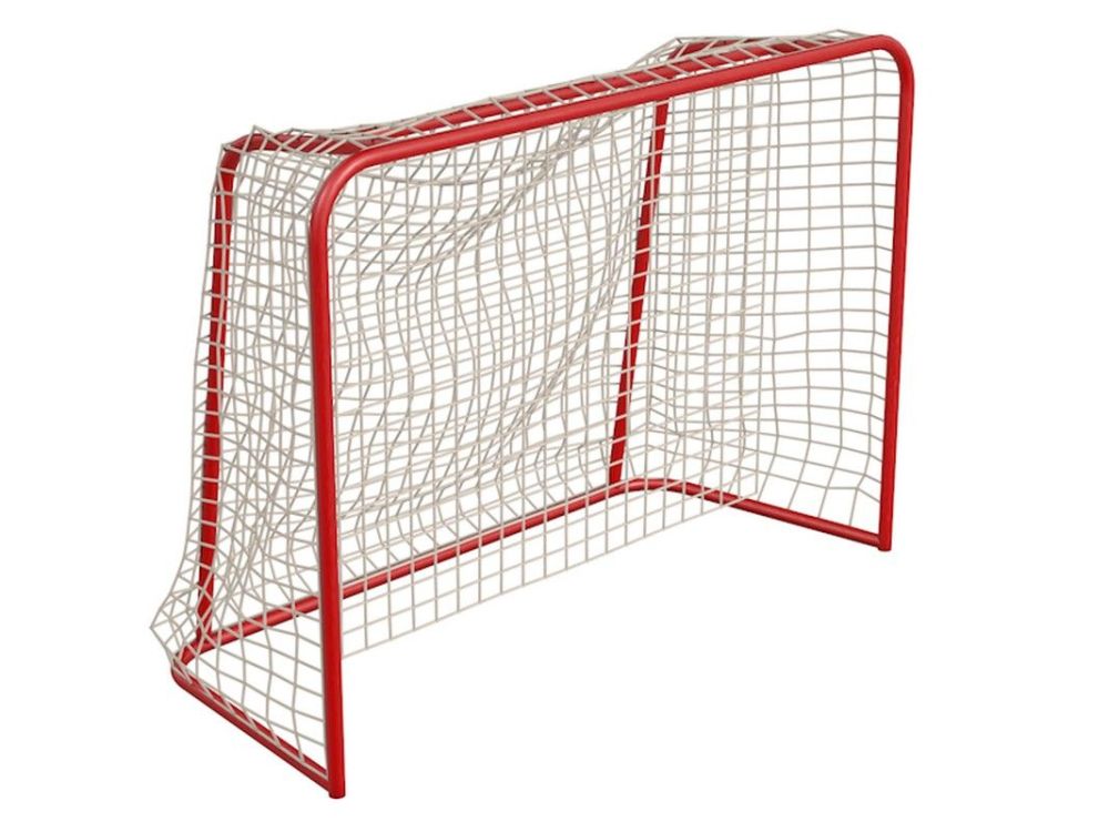 Ворота флорбольные 1,6х1,15 м  Pioner A13501