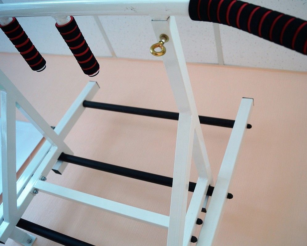 Турник навесной на гимнастическую стенку, черный Pioner A12179