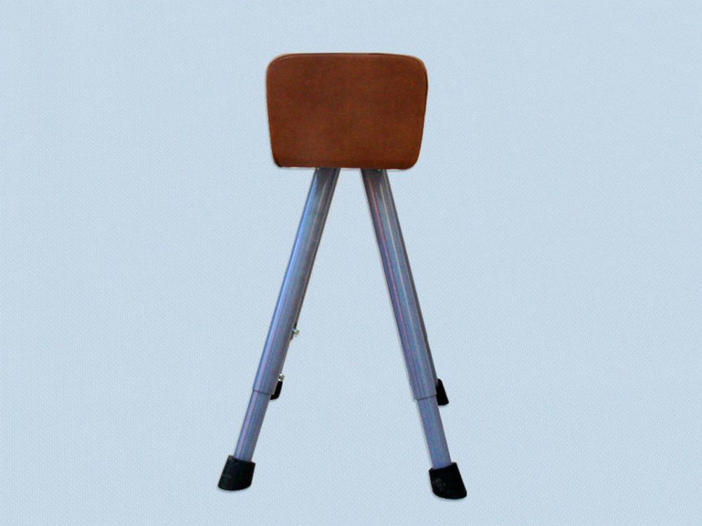 Козёл гимнастический эконом  Pioner A14728