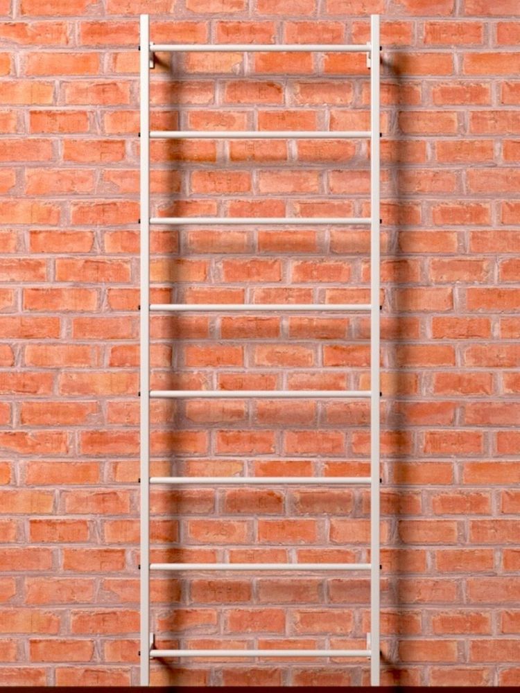 Шведская стенка металлическая разборная  Pioner A16220