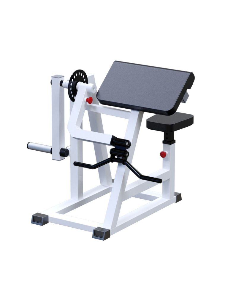 Бицепс-трицепс маятниковый   Pioner A11925