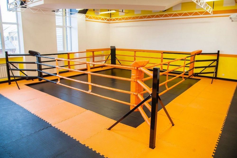 Ринг напольный на упорах помост 5х5 м, боевая зона 4х4 м, монтажная площадка 5х5 м Pioner A15375