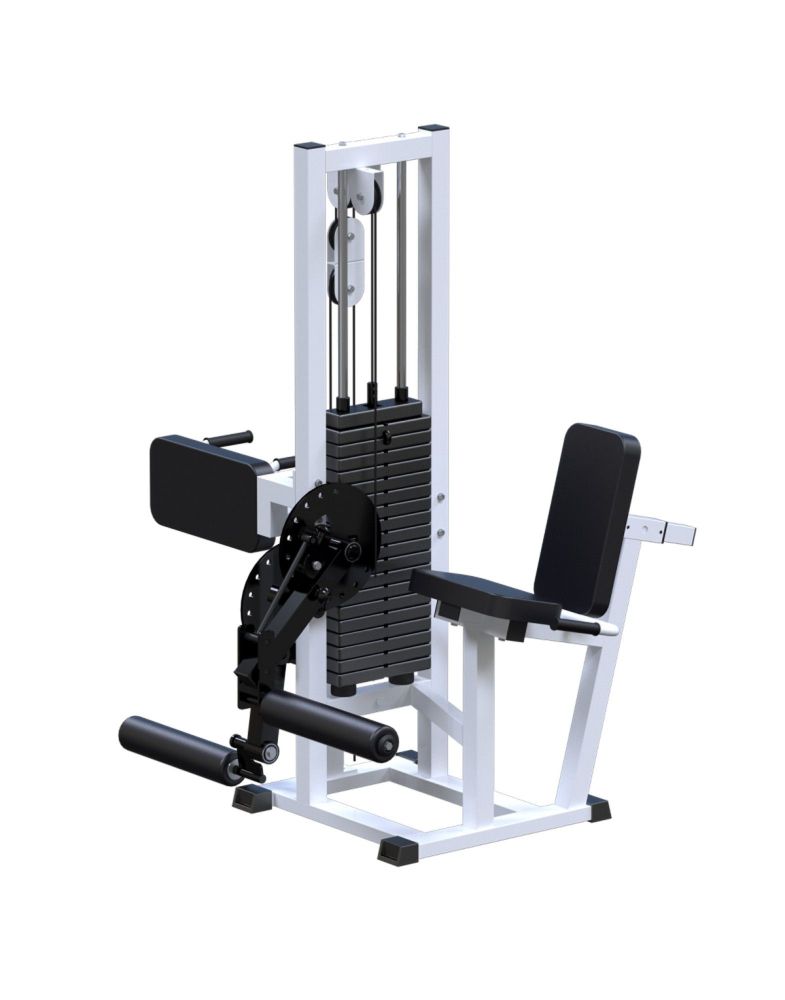 Разгибание ног сидя + сгибание стоя  (стек 100кг)  Pioner A11967
