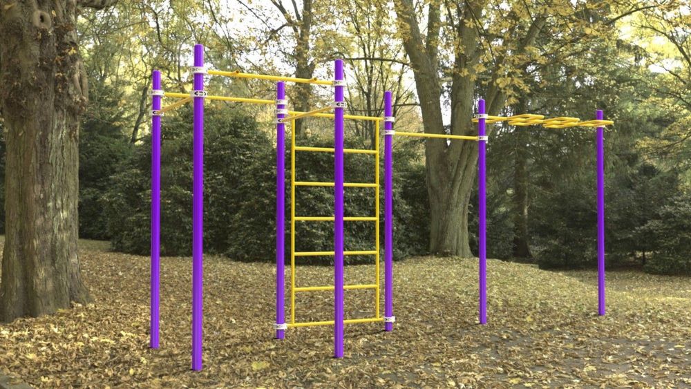 Комплекс с рукоходом-змейка, шведской стенкой и турниками Воркаут  Pioner A16703