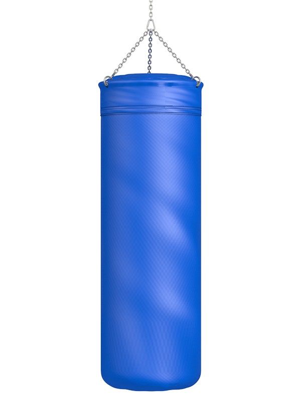 Боксерский мешок тент, 45х180 см, 80-100 кг Pioner A13521