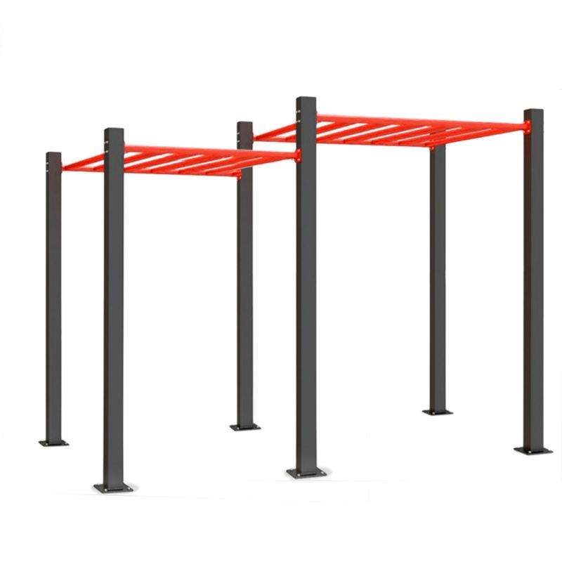 Рукоход двухуровневый для воркаута  Pioner A16055