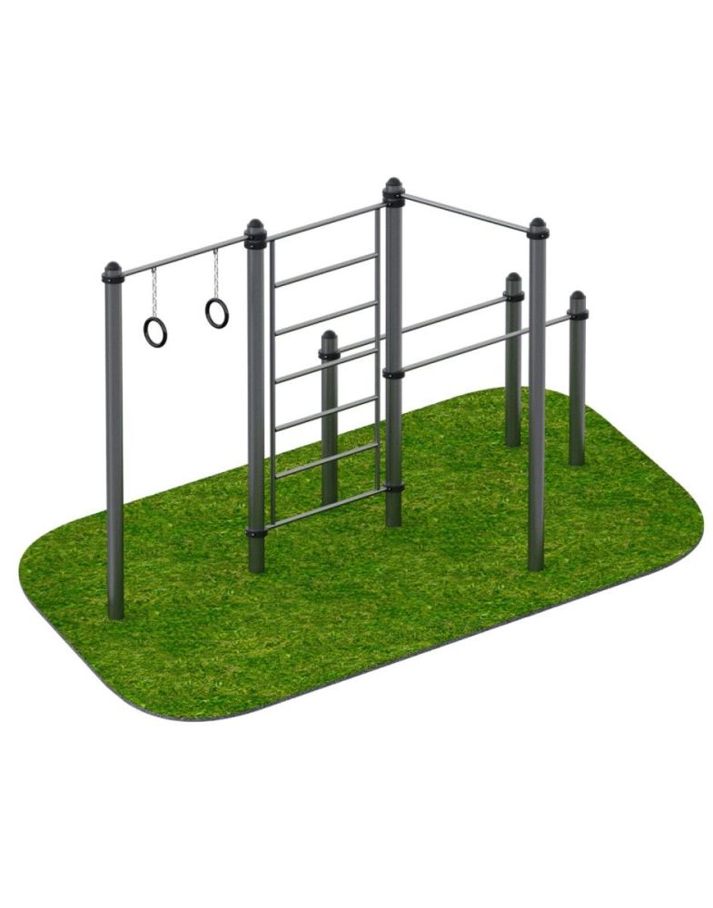 Комплекс снарядов – кольца гимнастические, турник, шведская стенка, брусья   Pioner A15493