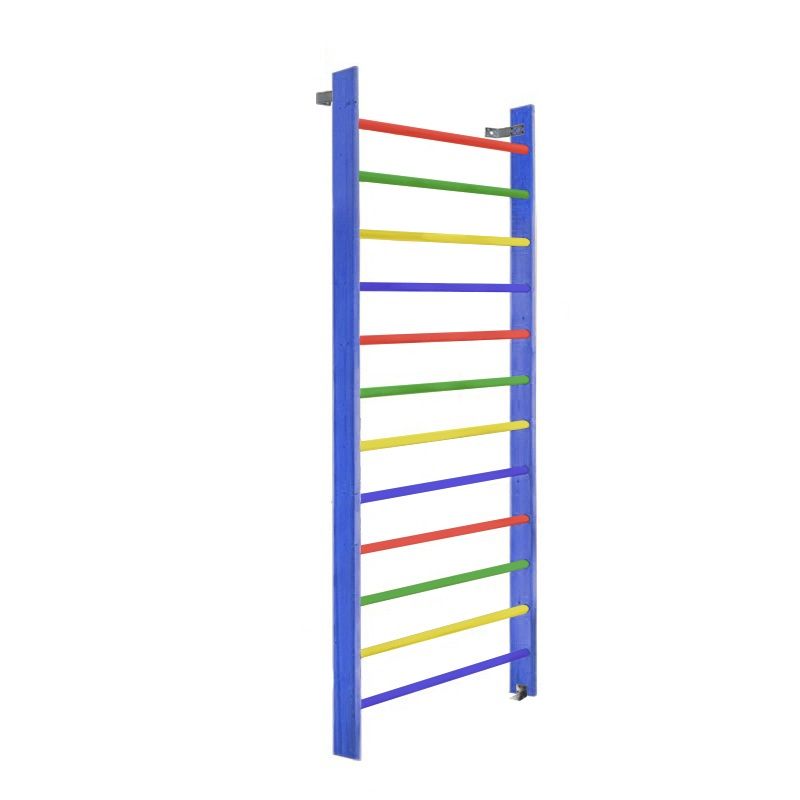 Стенка гимнастическая 260х100 (массив.сосна), цветная  Pioner A15889