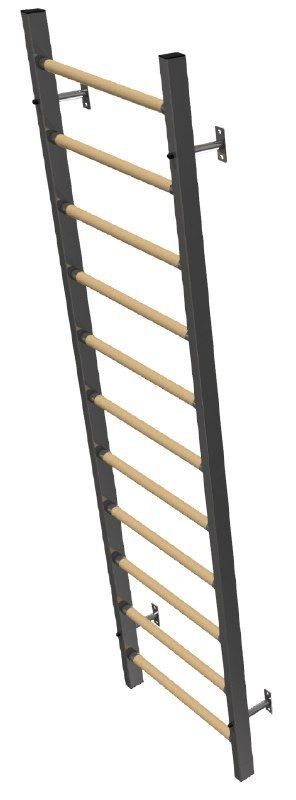 Стенка гимнастическая шведская 260х79х16см (металл\дерево)  Pioner A17843