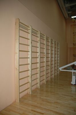 Шведская стенка деревянная  3,0х1,0м  Pioner A15741