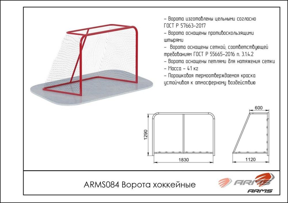 Ворота хоккейные  Pioner A12354