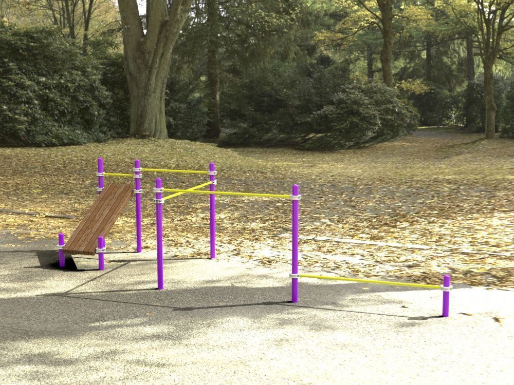 Комплекс для занятий Воркаут Pioner A16837