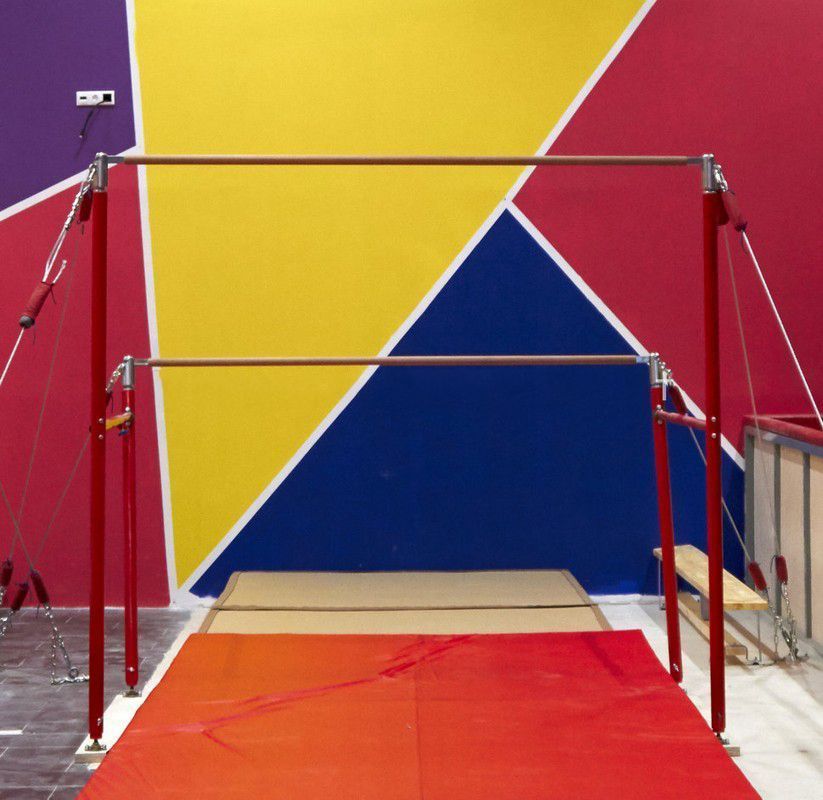 Брусья Олимпийские женские, с углепластиковыми жердями, профессиональные  Pioner A14733