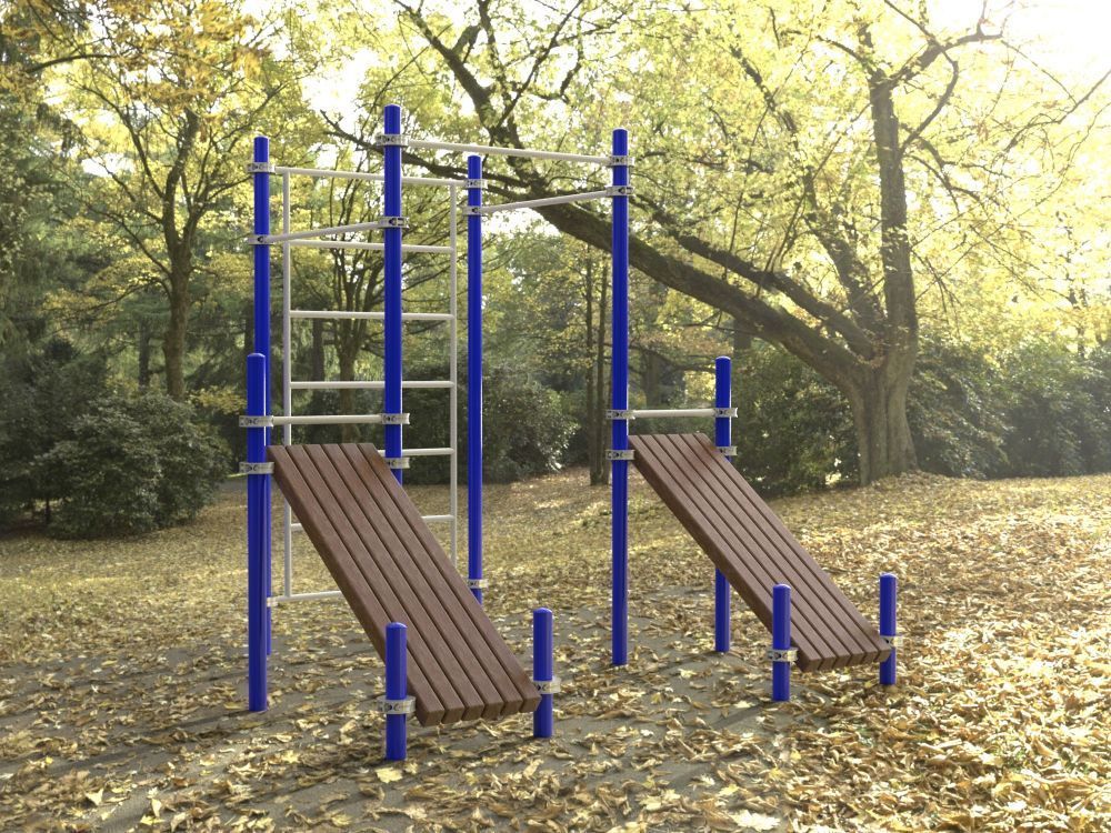 Комплекс тренажеров для занятий Воркаут Pioner A16718