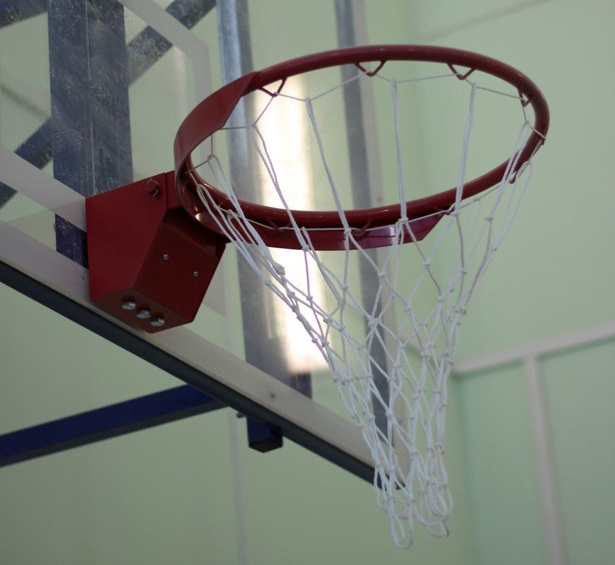 Кольцо баскетбольное амортизационное массовое  Pioner A13327