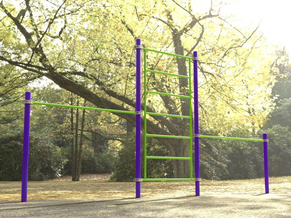 Комплекс для занятий Воркаут Pioner A16857