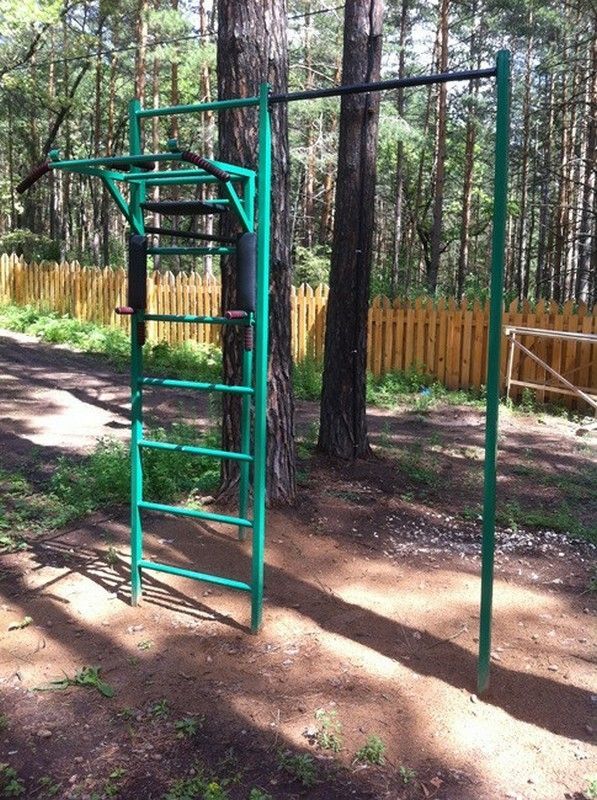 Турник 3 в 1 навесной, черный Pioner A12192