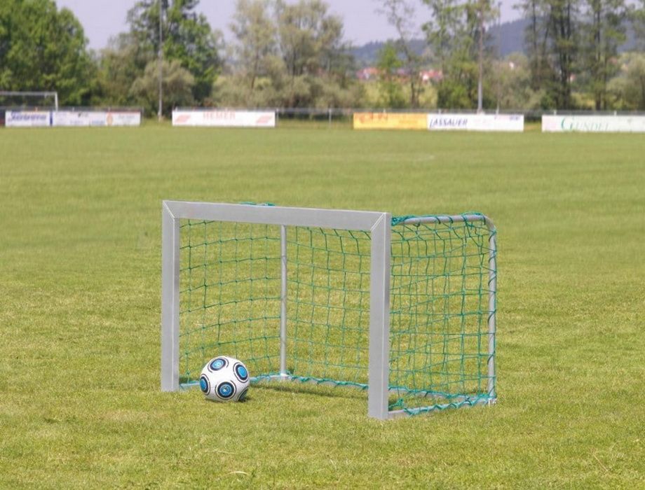 Ворота футбольные алюм. цельные 1.2 х 0.8м, профиль 80 х 40 мм (1 шт)  Pioner A14913