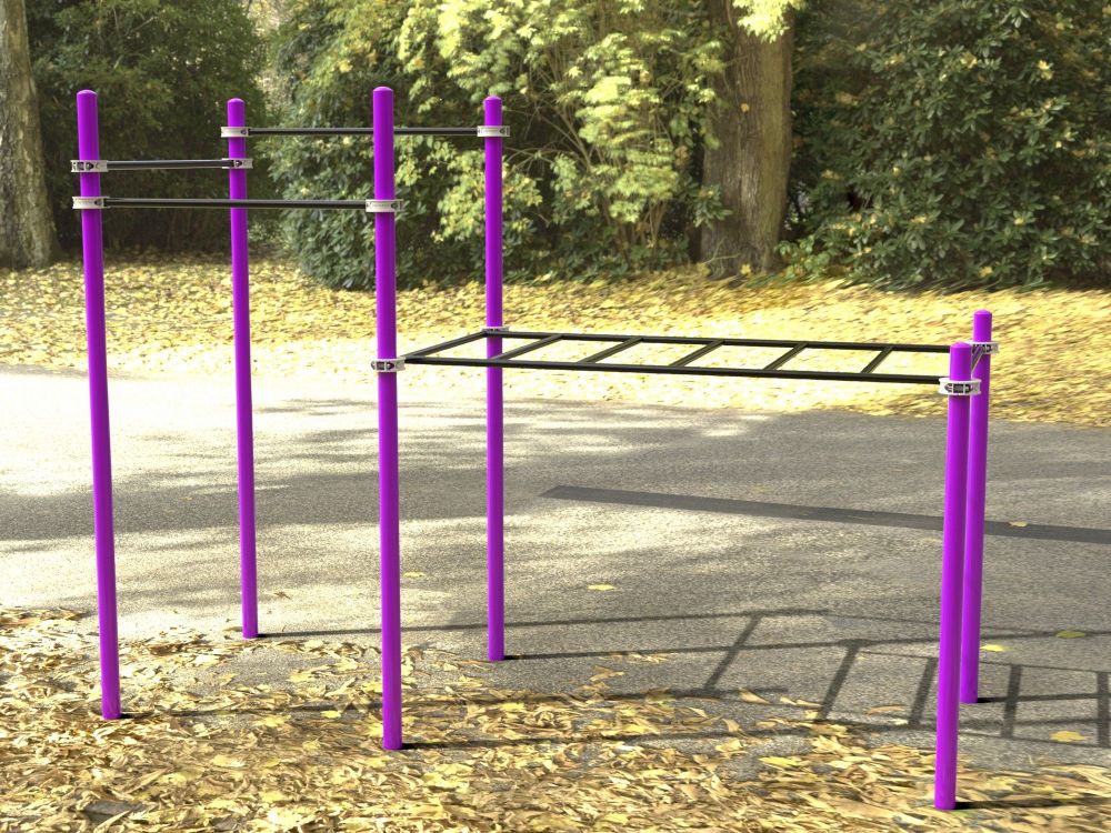 Комплекс для занятий Воркаут  Pioner A16844