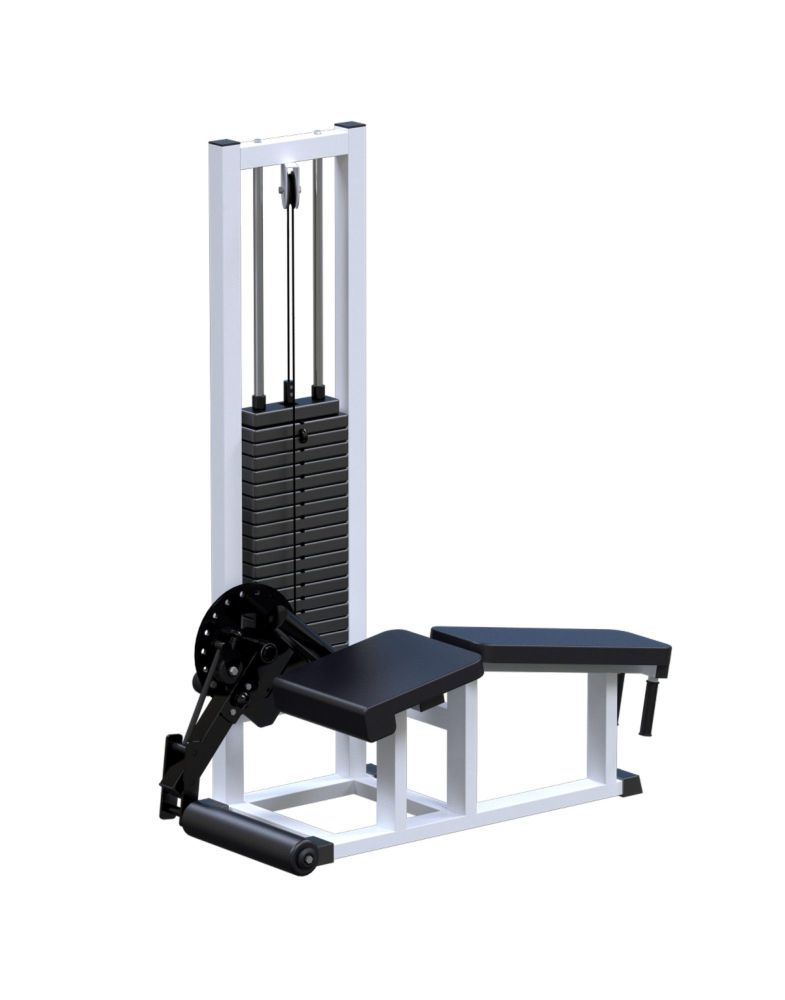 Сгибание ног  (стек 100кг)  Pioner A11968