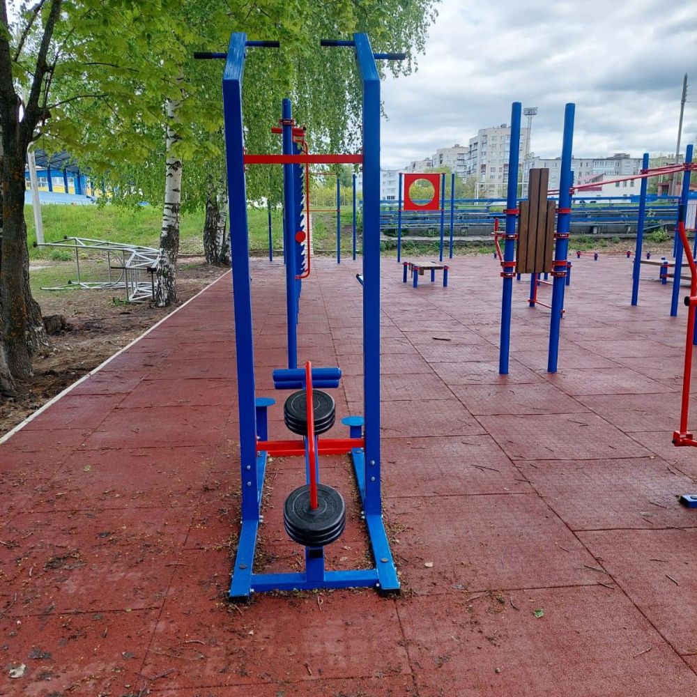 Уличный силовой тренажер для подтягивания и отжимания на брусьях с противовесом  Pioner A17299