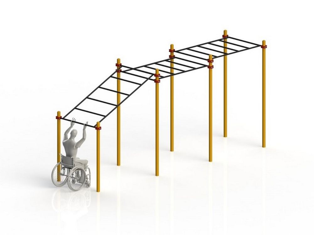 Рукоход разноуровневый для колясочников Pioner A11776