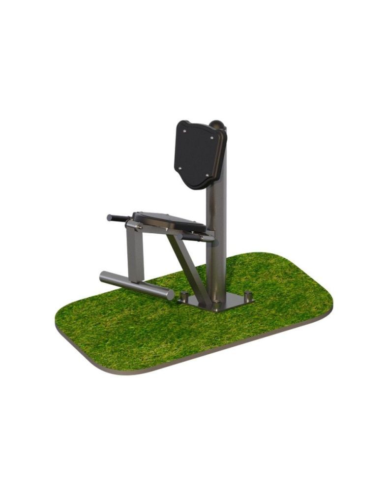 Разгибание ног  Pioner A15705