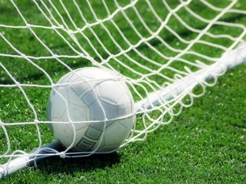 Сетка футбольная профессиональная 7,5х2,5м d=3,0 мм (пара)  Pioner A12593