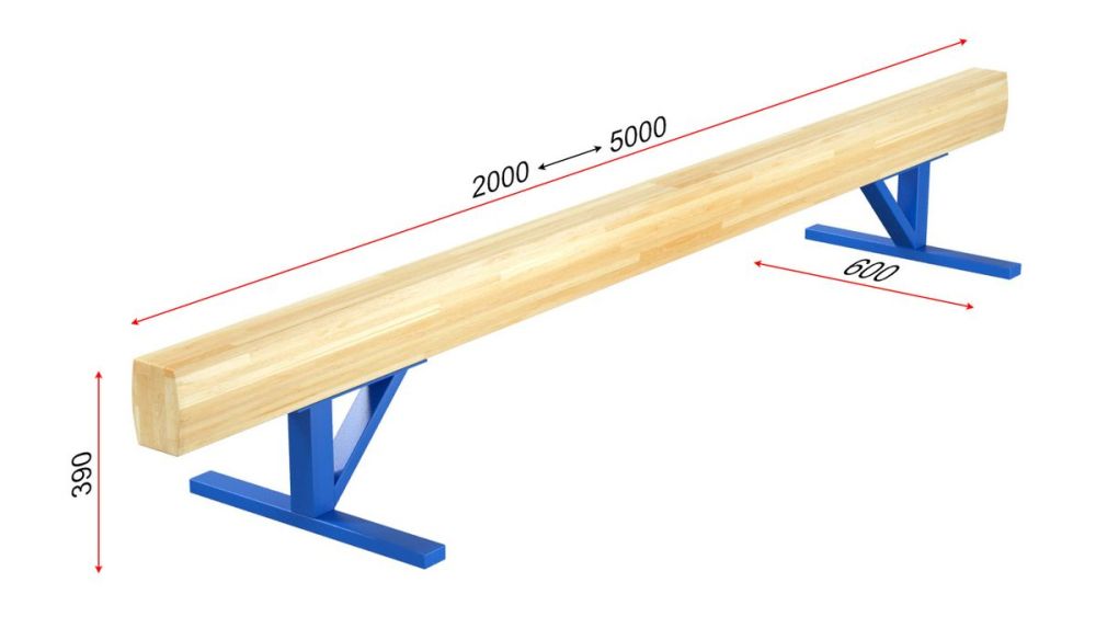 Бревно гимнастическое низкое L=4 м  Pioner A13561
