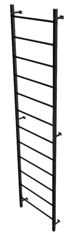 Стенка гимнастическая шведская 320х80см (металл)  Pioner A17840