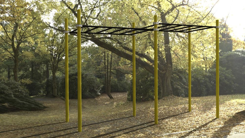 Рукоход двухуровневый для Воркаут Pioner A17268