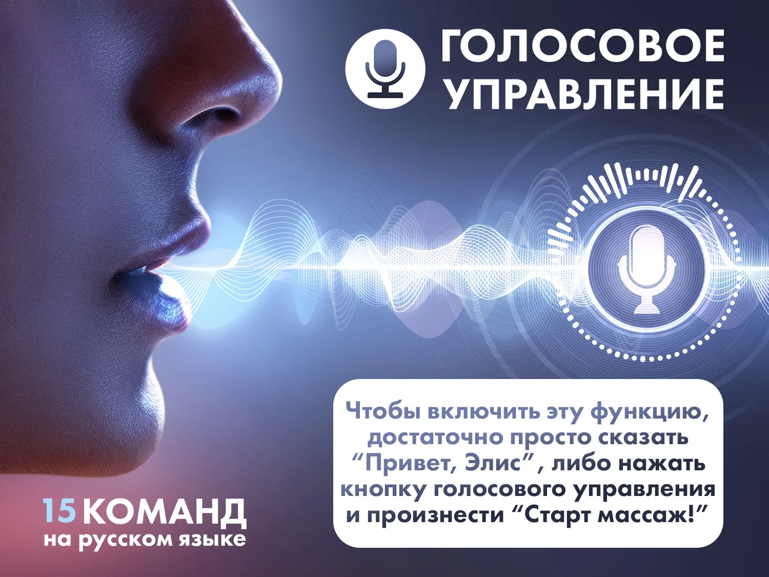 Массажное кресло FUJIMO 氣 FLEXOR 4D Grey