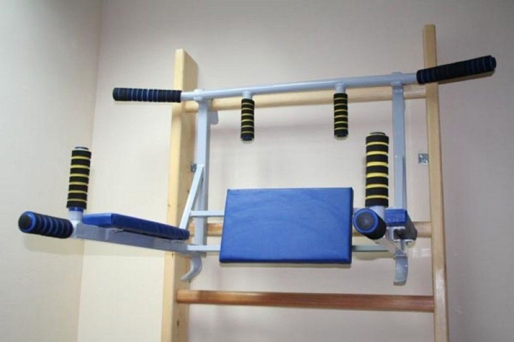 Турник-брусья навесной со спинкой и подлокотниками  Pioner A12019