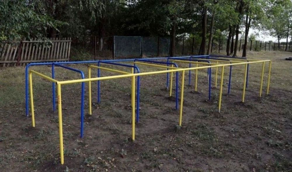 Элемент полосы препятствий Лабиринт  Pioner A16878