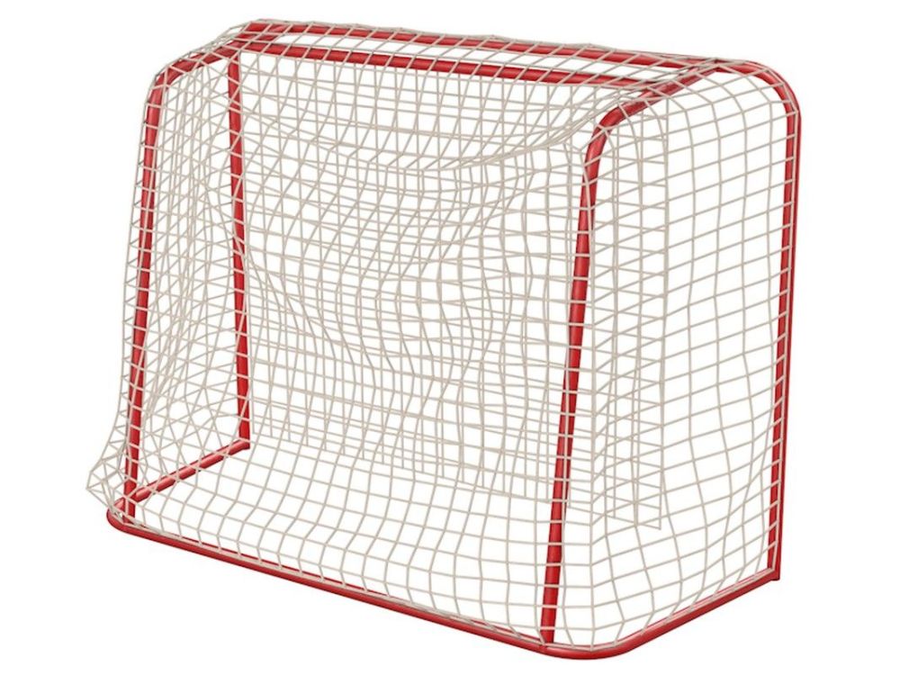 Ворота флорбольные 1,6х1,15 м  Pioner A13501