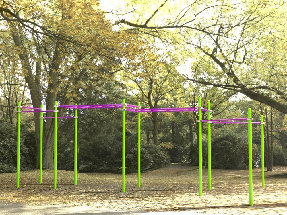 Комплекс для занятий Воркаут Pioner A16909