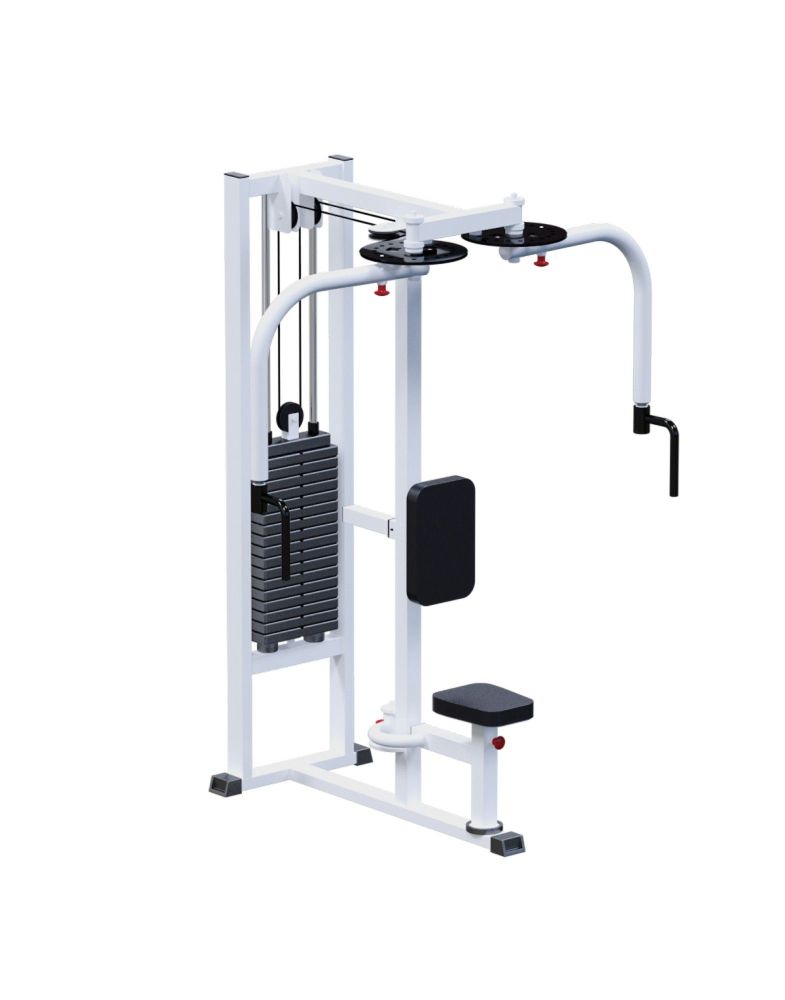 Баттерфляй-Задние дельты  (стек 90 кг)  Pioner A11966