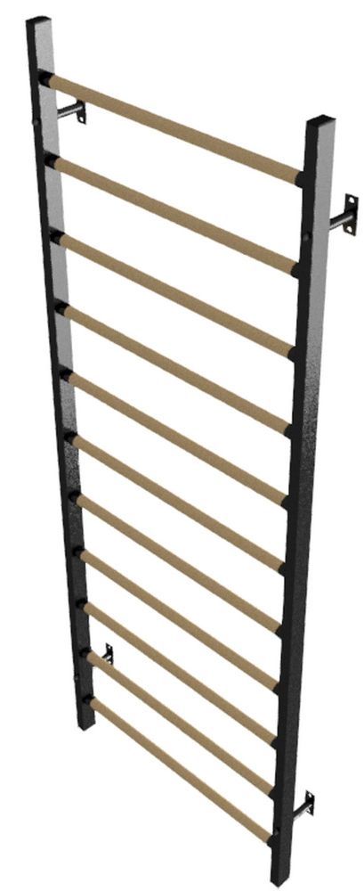 Стенка гимнастическая шведская 260х100х16см (металл\дерево)  Pioner A17845