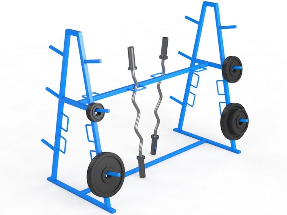 Стойка для грифов и дисков  Pioner A12143