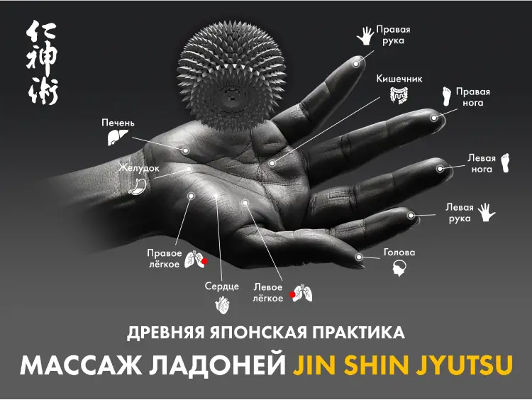 Массажное кресло FUJIMO 氣 Combat 4D Серый