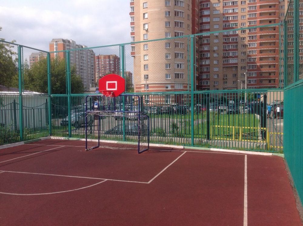 Хоккейные ворота со щитом  Pioner A13757