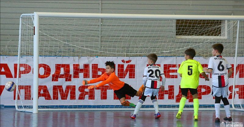 Ворота футбольные 5х2 м, алюминиевые, сертификат ГОСТ 55664-2013, свободностоящие Pioner A14483