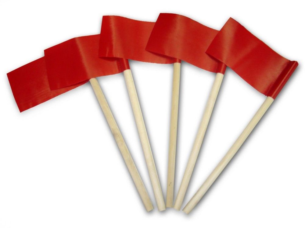 Флажок эстафетный 10х20 см, L40 см Pioner A15413