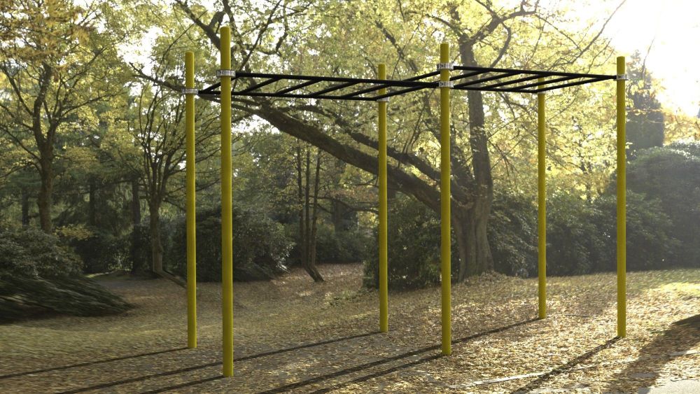 Рукоход двухуровневый для Воркаут  Pioner A17280