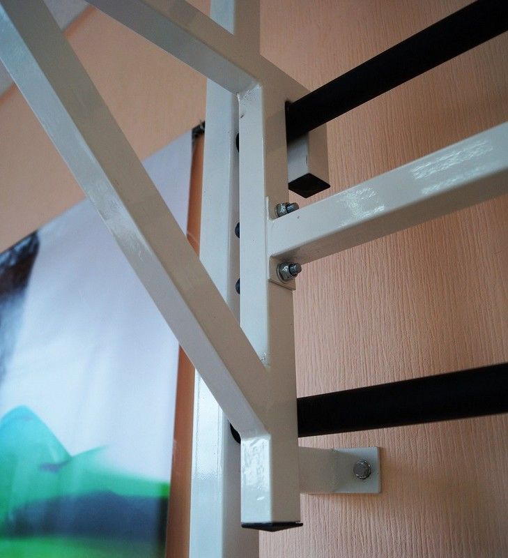 Турник навесной на гимнастическую стенку, белый Pioner A12183