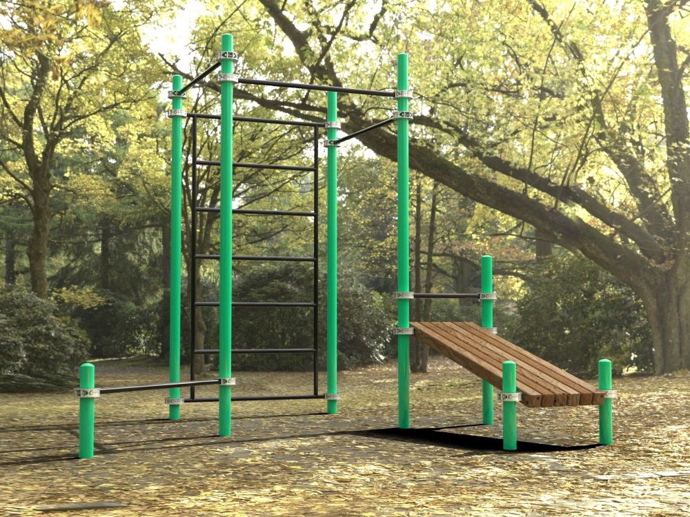 Комплекс для занятий Воркаут   Pioner A16760