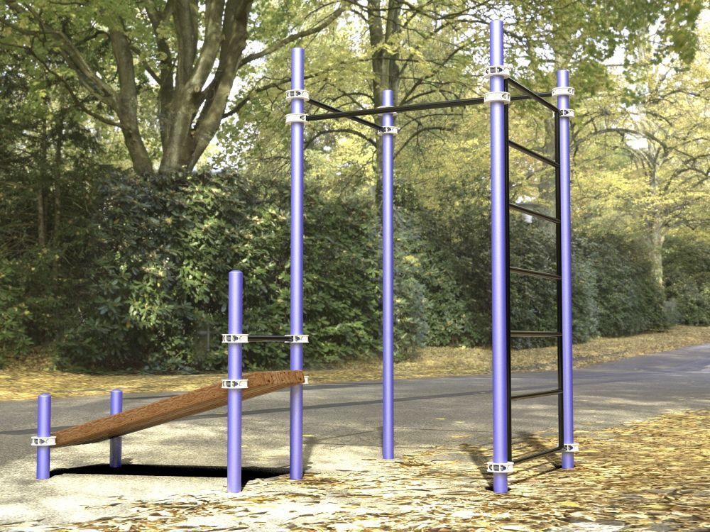 Комплекс для занятий Воркаут Pioner A16892