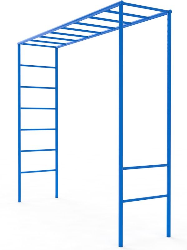 Турник рукоход для улицы  Pioner A16422