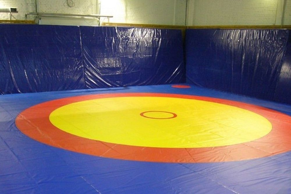 Ковёр борцовский 12х12 м основа Э+НПЭ (экв. ПВВ 140 кг/м3) толщина 5 см  Pioner A11568