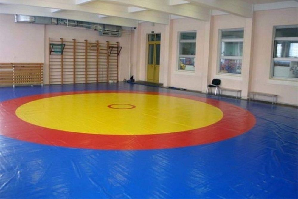 Ковер борцовский 12х12м основа Э (экв. ПВВ 200 кг/м3) толщина 5 см  Pioner A11576